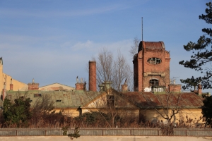 Canon EOS 90D f/5.6 1/4000sec ISO-400 61mm Horizontal (normal)