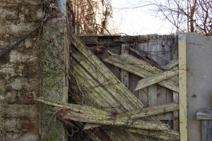 Canon EOS 90D f/4.5 1/4000sec ISO-2000 28mm Horizontal (normal)