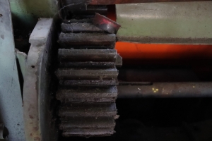 Canon EOS 90D f/4 1/125sec ISO-6400 22mm Horizontal (normal)