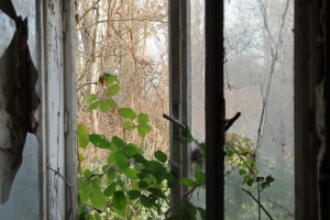 Canon EOS 90D f/5 1/125sec ISO-200 38mm Horizontal (normal)