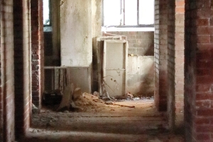 Canon EOS 90D f/5.6 1/100sec ISO-6400 59mm Horizontal (normal)