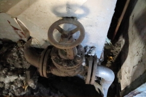 Canon EOS 90D f/4 1/100sec ISO-6400 22mm Horizontal (normal)