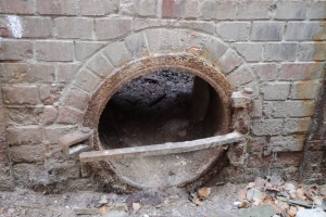 Canon EOS 90D f/4.5 1/100sec ISO-6400 28mm Horizontal (normal)