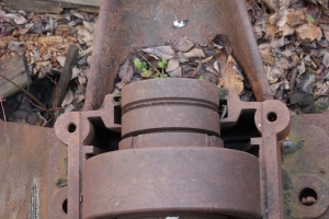 Canon EOS 90D f/5 1/100sec ISO-1000 44mm Horizontal (normal)