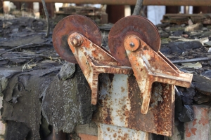 Canon EOS 90D f/5.6 1/100sec ISO-400 50mm Horizontal (normal)