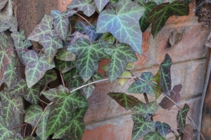 Canon EOS 90D f/4.5 1/100sec ISO-1000 28mm Horizontal (normal)