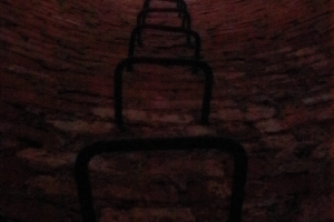 Canon EOS 90D f/4 1/100sec ISO-6400 17mm Horizontal (normal)