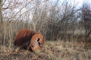 Canon EOS 90D f/4 1/100sec ISO-125 17mm Horizontal (normal)