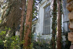 nick Canon EOS 90D f/4 1/60sec ISO-160 17mm