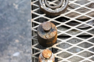 nick Canon EOS 90D f/5.6 1/160sec ISO-3200 85mm