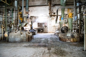 nick Canon EOS 90D f/4 1/80sec ISO-4000 17mm