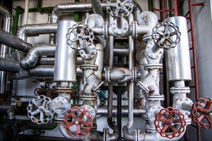 nick Canon EOS 90D f/4 1/80sec ISO-250 17mm