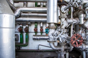 nick Canon EOS 90D f/4 1/80sec ISO-320 17mm