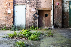 nick Canon EOS 90D f/4 1/60sec ISO-125 17mm