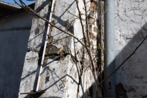 nick Canon EOS 90D f/22 1/100sec ISO-160 44mm