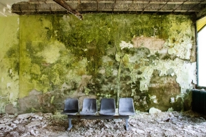 nick Canon EOS 90D f/22 1/25sec ISO-6400 17mm