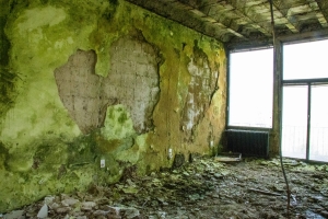 nick Canon EOS 90D f/22 1/40sec ISO-6400 17mm