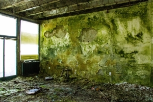 nick Canon EOS 90D f/22 1/25sec ISO-6400 17mm