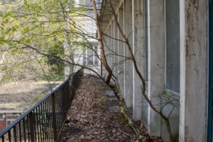 nick Canon EOS 90D f/22 1/60sec ISO-1250 17mm