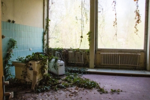 nick Canon EOS 90D f/22 1/60sec ISO-1600 17mm