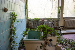 nick Canon EOS 90D f/5 1/60sec ISO-400 17mm