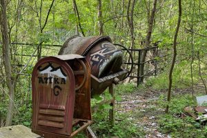 iPhone 13 f/1.6 1/537sec ISO-50 5.1mm