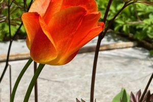 iPhone 13 f/1.6 1/3311sec ISO-50 5.1mm