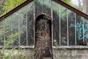 iPhone 13 f/2.4 1/99sec ISO-50 1.54mm