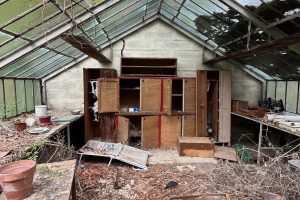 iPhone 13 f/2.4 1/99sec ISO-50 1.54mm