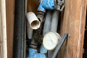 iPhone 13 f/1.6 1/121sec ISO-80 5.1mm