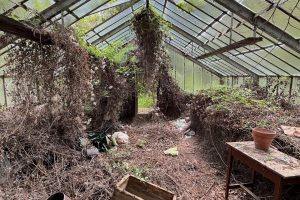 iPhone 13 f/2.4 1/99sec ISO-50 1.54mm