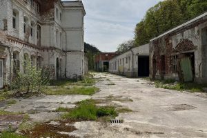 iPhone 13 f/1.6 1/9091sec ISO-50 5.1mm