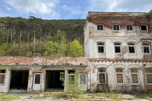 iPhone 13 f/1.6 1/2268sec ISO-50 5.1mm