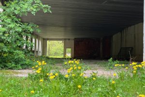 iPhone 13 f/1.6 1/205sec ISO-50 5.1mm