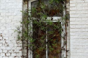 iPhone 13 f/1.6 1/1186sec ISO-50 5.1mm