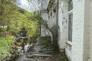 iPhone 13 f/2.4 1/344sec ISO-32 1.54mm