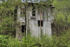 iPhone 13 f/1.6 1/793sec ISO-50 5.1mm