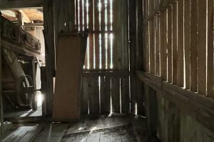 iPhone 13 f/2.4 1/30sec ISO-2000 1.54mm