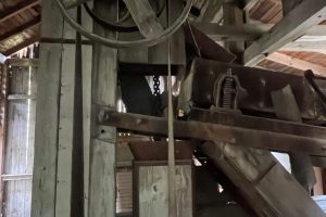 iPhone 13 f/2.4 1/28sec ISO-3200 1.54mm