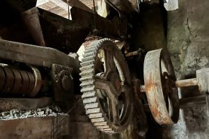 iPhone 13 f/1.6 1/9sec ISO-1000 5.1mm