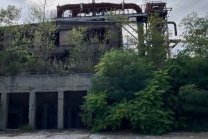 iPhone 13 f/1.6 1/3049sec ISO-50 5.1mm