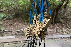 iPhone 13 f/1.6 1/77sec ISO-125 5.1mm