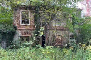 iPhone 13 f/1.6 1/122sec ISO-100 5.1mm