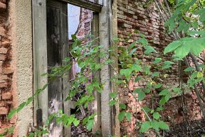 iPhone 13 f/1.6 1/60sec ISO-250 5.1mm