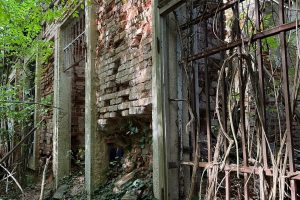 iPhone 13 f/1.6 1/72sec ISO-125 5.1mm