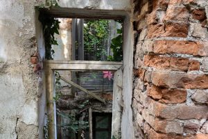 iPhone 13 f/1.6 1/121sec ISO-50 5.1mm