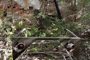 iPhone 13 f/1.6 1/102sec ISO-125 5.1mm