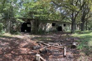 iPhone 13 f/1.6 1/917sec ISO-125 5.0999999046326mm Horizontal (normal)