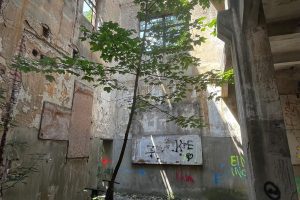 iPhone 13 f/2.4 1/99sec ISO-64 1.539999961853mm Horizontal (normal)