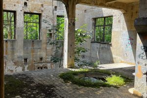 iPhone 13 f/1.6 1/390sec ISO-50 5.0999999046326mm Horizontal (normal)